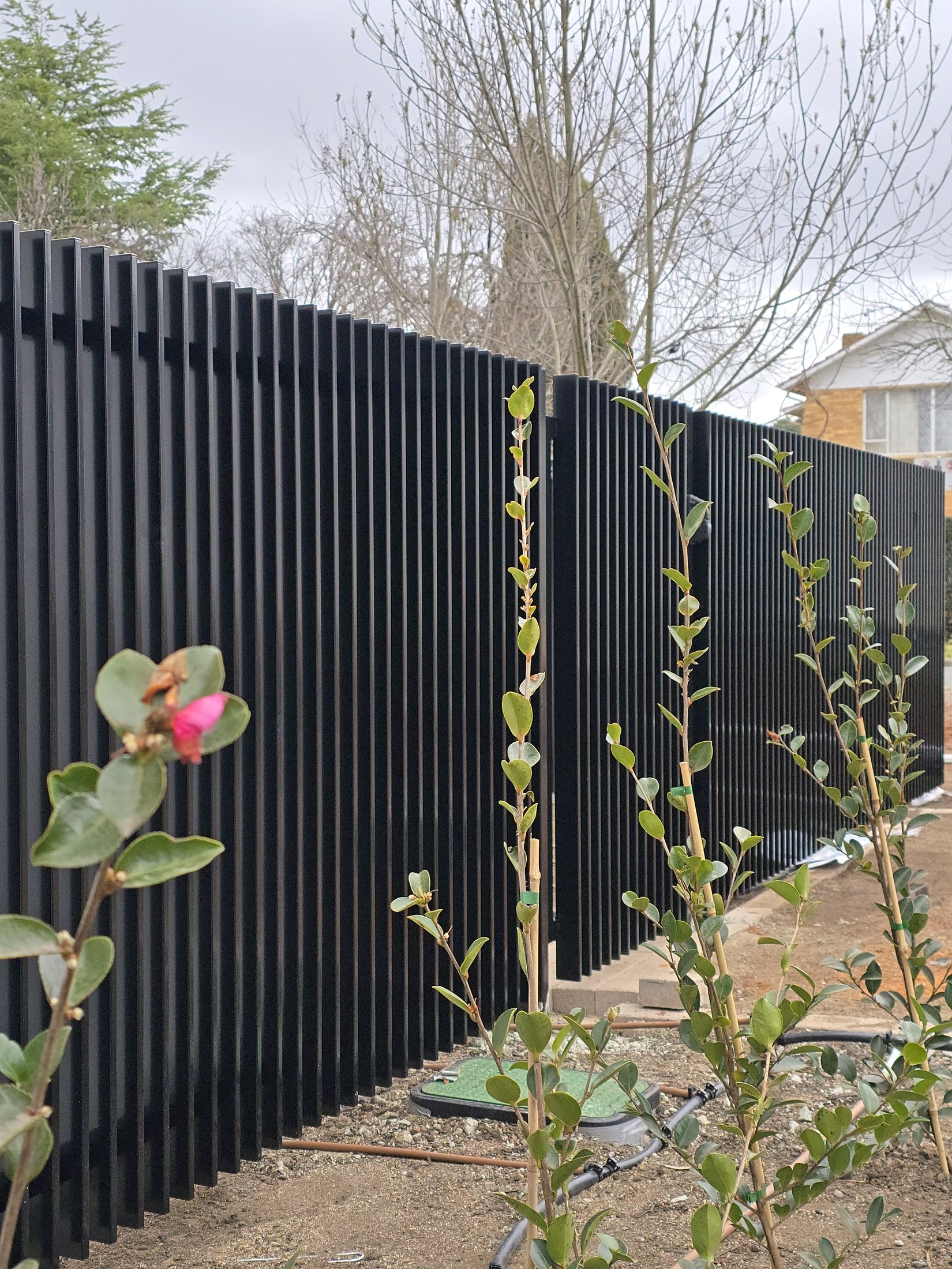 High Commission Residence privacy fencing and gate project in Canberra