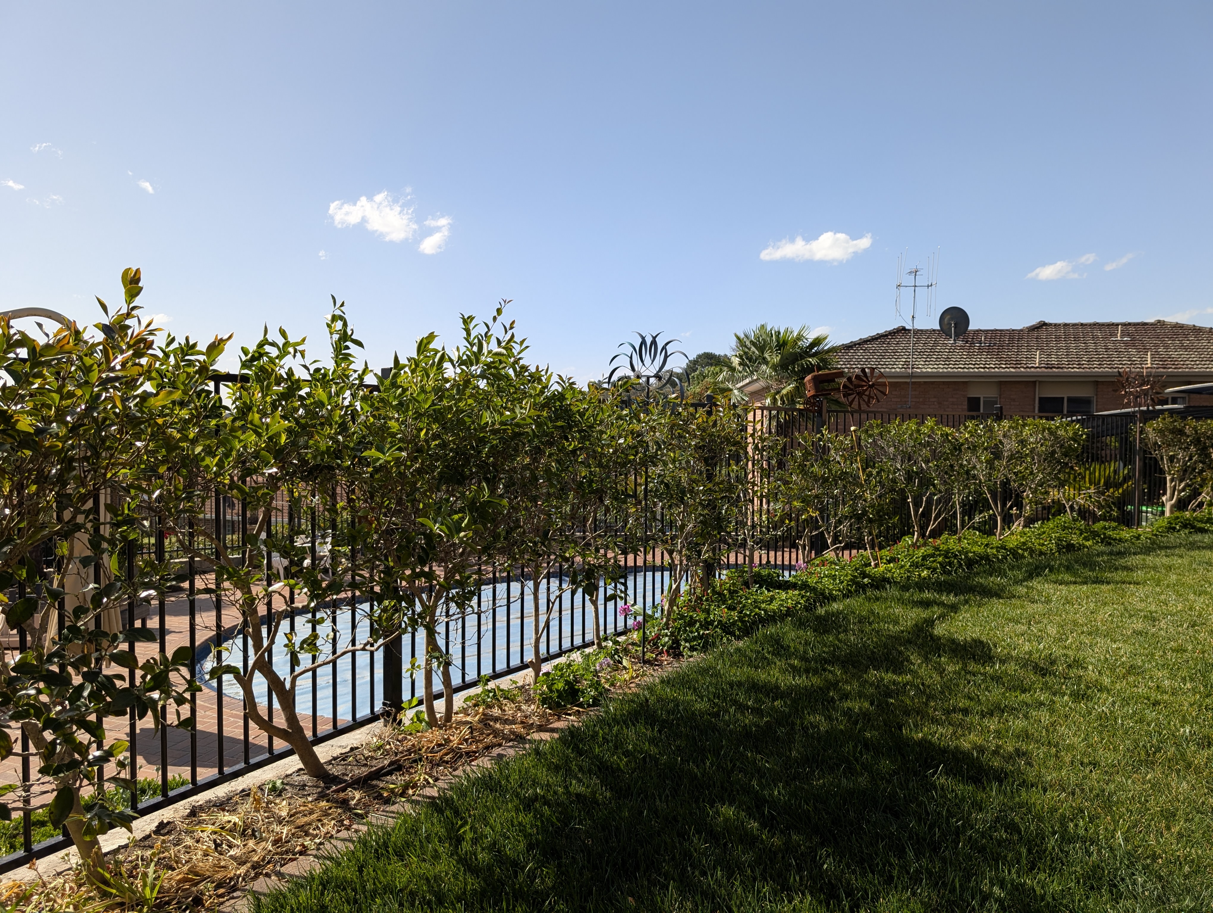 Residential Flat Top Fence Canberra project record in O'Malley ACT